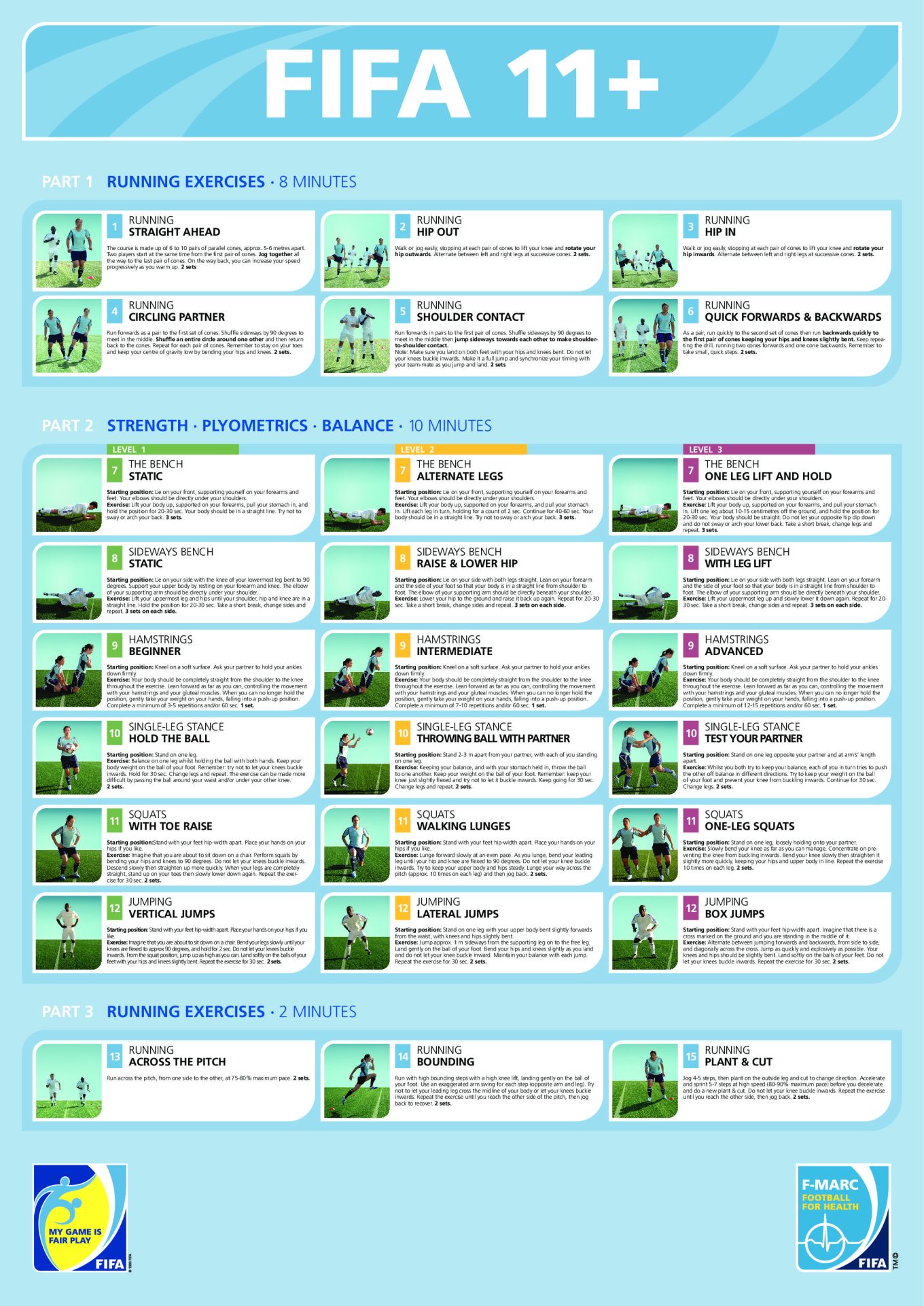 FIFA-11-summary-poster